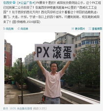 咸阳发改委网站称环保审查后 PX项目已被取消